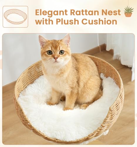 Torre para Gatos Beige con Rascadores y Condominio miniatura 4