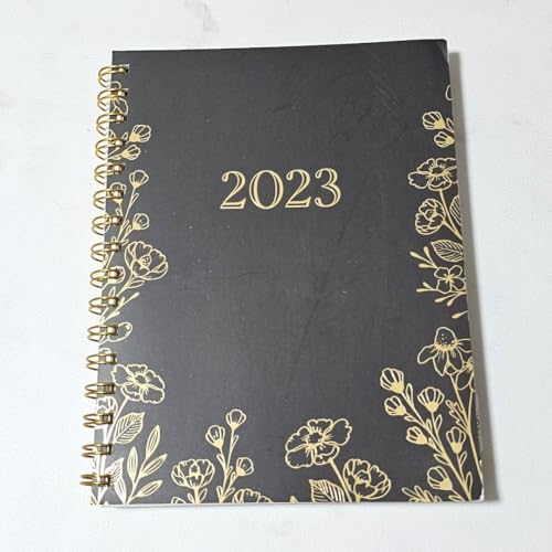 2023 vi[2023 N̗\\ 1 -12  蒠 L