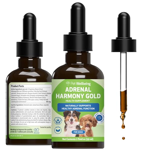 How long can a dog live with an adrenal tumor