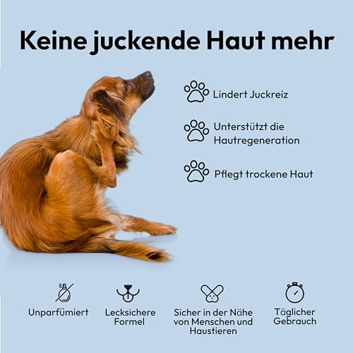 Belly Mittel gegen Juckreiz beim für Hund - 250ml - Hunde Pflege Spray pflegt die Haut bei Grasmilben Milben Reizungen Läusen und unterstützt den Regenerationsprozess Anti Juckreiz