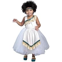 Princess Paradise Native American Tutu Dress