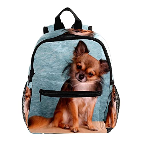 Sac à dos pour garçons motif chien multicolore, le cadeau de rentrée idéal