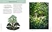 The Regenerative Garden: 80 Practical Projects for Creating a Self-sustaining Garden Ecosystem