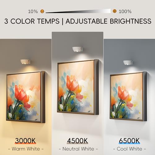 Anhay Rechargeable Picture Lights for Wall, 3 Pack Magnetic Picture Display Lights with Remote, Dimmable LED Light, 3 Color Temps & 12 RGB Colors for Artwork, Posters, Portraits & Display Decor — view 3