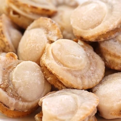 kCY {C 800g {Cz^e 󂠂