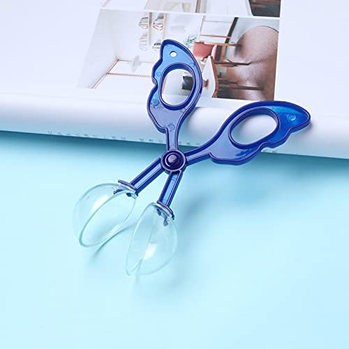 10 Pcs insetos para crianças | Brinquedo coletor insetos para crianças,Coleção insetos para visualiz