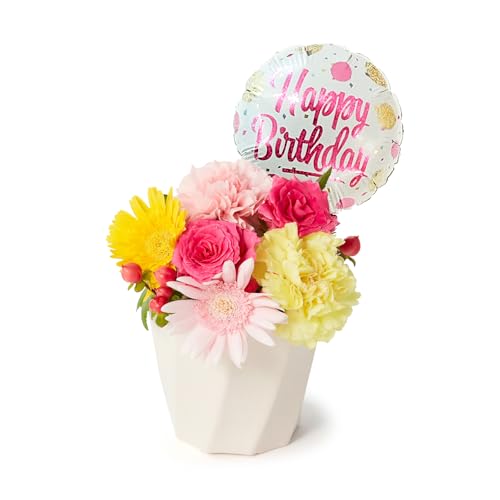 bloomee(u[~[) ̂܂܏ AWg Jt STCY ( HappyBirthday o[ t )  ~j ԑ ( Mtg v[g j ) ސEj j Ǝ JXj t[Mtg ( ԕrsv 
