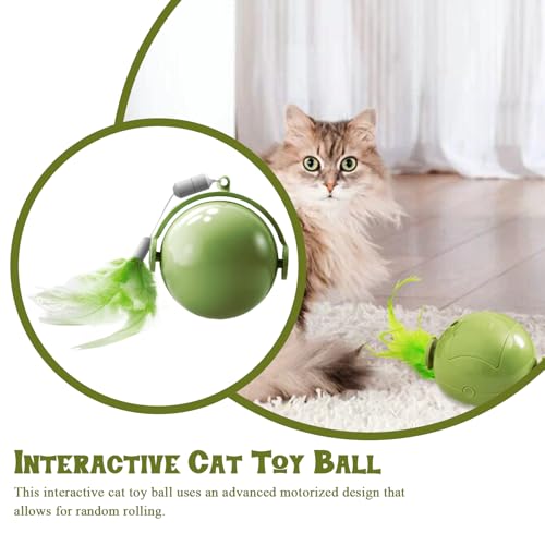 Jouet pour chat et chaton d'intérieur, accessoire d'exercice haute performance