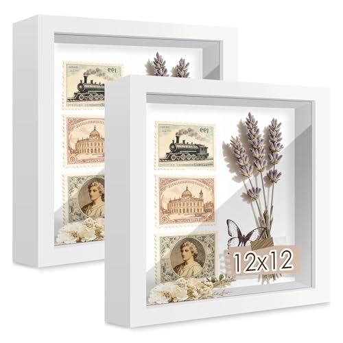 Picrit Shadow Box Frame 12x12 Set of 2, Display Case