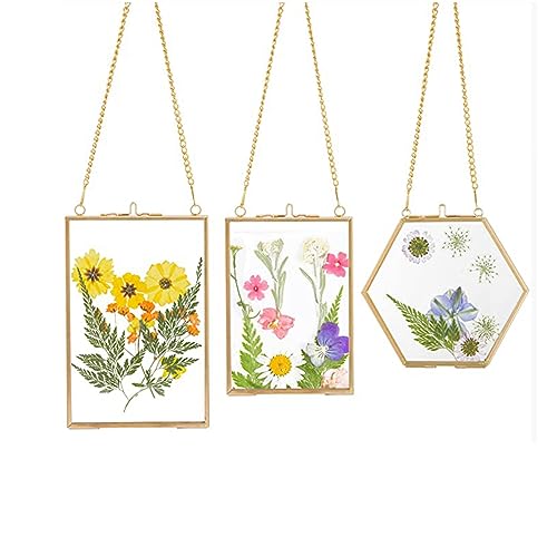 Tiamu 3 Pack Bilderrahmen Wandbehan Glasrahmen Doppelglas, Hängende Schwimmende Glas Fotorahmen, Pflanze Probe Clip, Bilderrahmen zum Gepresste Blumen, Foto, Bild, Karte, Urkunde