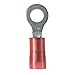 Panduit PN18-8R-C Ring Terminal, Nylon Insulated, 22 - 18 AWG, #8 Stud Size, Red (100-Pack)