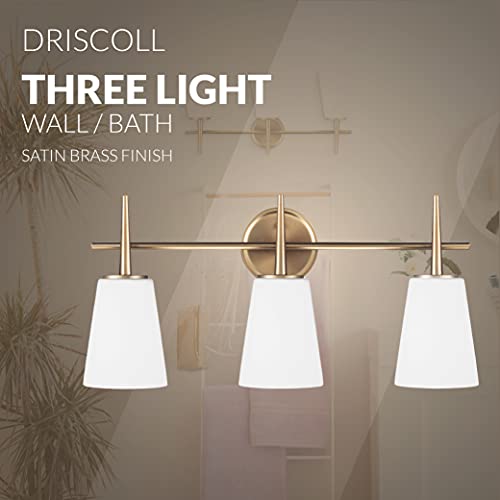 Sea Gull Lighting Driscoll Wall/Bath Vanity Style Fixture, Three - Light, Satin Bronze Finish #TOP4