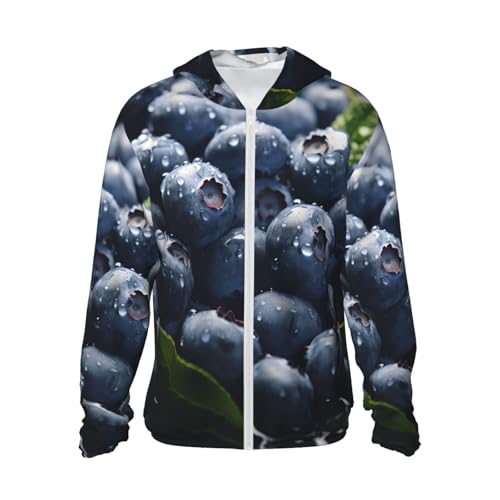 livre Veste légère UPF 50+ pour homme avec fermeture éclair intégrale Delicious Blueberry Protection solaire à capuche à manches longues, noir, 3X-Large