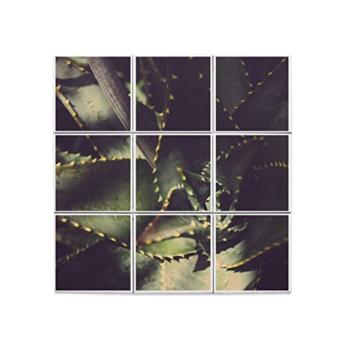 Carreaux céramique agave décoratifs grand format haut de gamme faïence