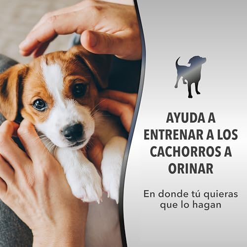 Consejos para Comprar Liquido entrenador para perros favoritos de las personas. 13 Consejos para Comprar Liquido entrenador para perros favoritos de las personas. 8