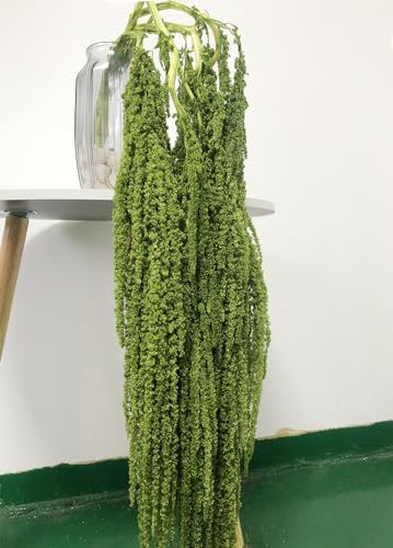 Flores Secas Colgantes de Glicina Blanqueada con Lavanda miniatura 2
