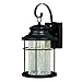 VAXCEL Melbourne 1 Light LED Dusk to Dawn Bronze Coastal Outdoor Wall Lantern Clear Glass