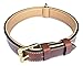 Soft Touch Collars Padded Leather Dog Collar, Brown Medium, Made with Real Genuine Leather, Best for Male or Female Dogs, 20" Inches Long x 1" Inch Wide, Fits Neck Size 14.5" to 17.5"