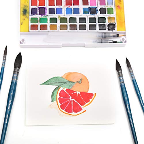 Dainayw DN-4LSMMHB Professional Mop Watercolor Brushes thumb #6