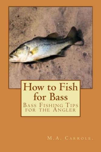 How to Fish for Bass: Bass Fishing Tips for the Angler