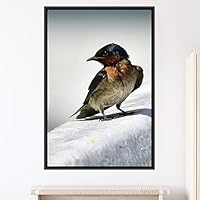 Framed Canvas Wall Art Single Bird Birds Expressive Farmhouse/Country Multicolor Photography Portrait Single - 16x24 inches