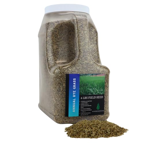 Rye Grass Annual Field Seed by Evergreen Farm and Garden (6 Lb Jug)