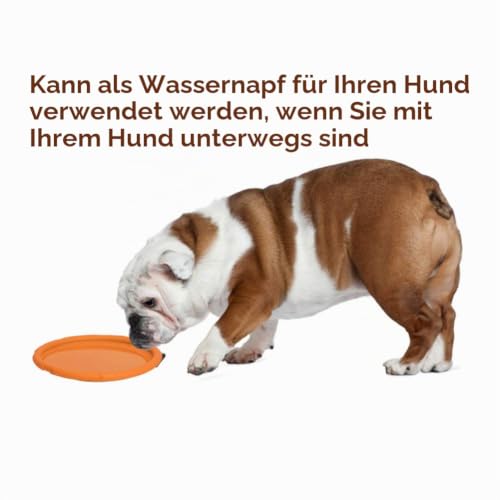 Vivifying Hundefrisbee, 2 Stück, 15 cm aus Naturkautschuk, Grün/Orange – Ansicht 4