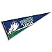 Florida Gulf Coast Eagles 12" X 30" Pennant