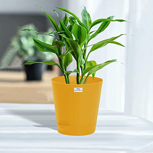 Image of Heart Home Plastic Titan Pot|Garden Container for Plants & Flowers|Self-Watering Pot with Drainage Holes,6 Inch,Pack of 2 (Yellow)