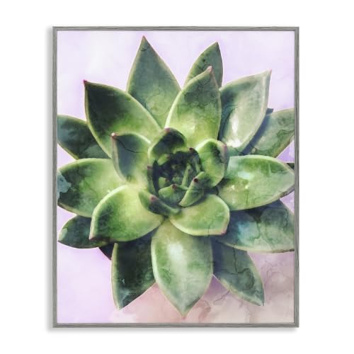 Succulent Leaf Botanical, 11 x 14 Inch Framed Giclée Print