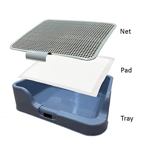 Image of PS KOREA] Indoor Dog Potty Tray - with Protection Wall Every Side for No Leak, Spill, Accident - Keep Paws Dry and Floors Clean (Wine)