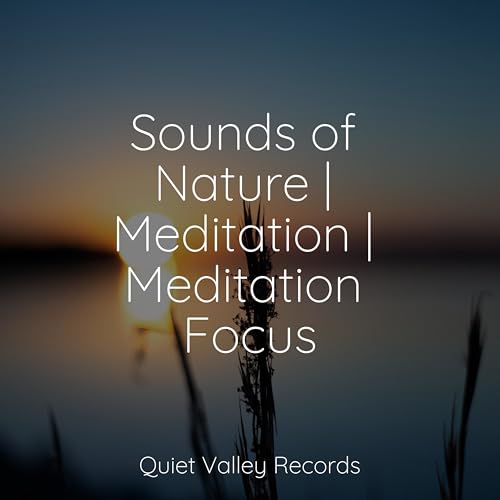 Amazon Music - Healing Sounds for Deep Sleep and RelaxationのSounds of ...