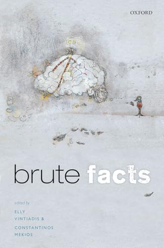 Brute Facts view 2