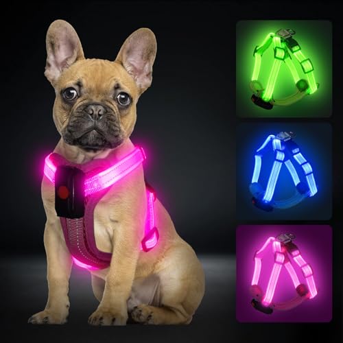 PZRLit Pettorina per cani di piccola taglia, ricaricabile, con illuminazione a LED, regolabile, si illumina al buio, per la sicurezza notturna dei cuccioli e passeggiate a 360°, colore rosa