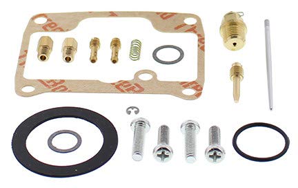 Carburetor Repair Kit Compatible with Ski Doo 467 Safari GLX LC 1990-1991 Snowmobile Part# 141-8983
