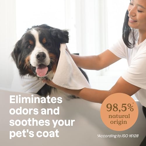 Image of Attitude Soothing Oatmeal Shampoo for Cat and Dog, Plant and Mineral-Based Ingredients, Vegan and Cruelty-Free Products for Pet, Soothing, Unscented, 16 Fl Oz (Pack of 4)