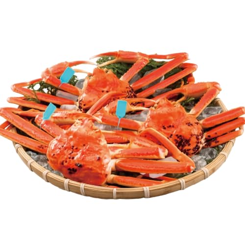 [能登半島 漁協直送] 活紅ズワイガニ (特大サイズ) 3尾(合計3kg前後) [JF西海 石川県 志賀町 AM4222]