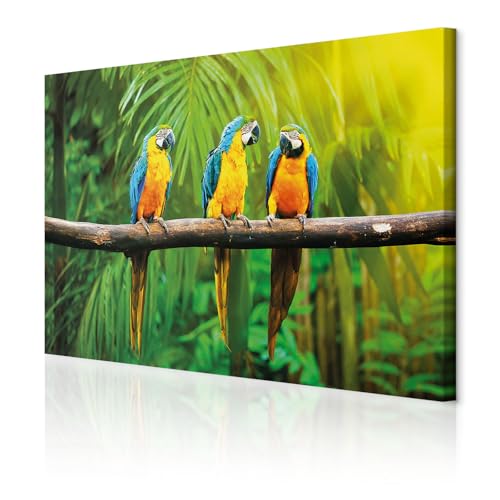 decomonkey - Impression sur Toile Animau Perroquets 60x40 1 Pièce - Tableau Décoration Appartement Cadre en Bois Déco Salon Peinture sur Toile Jungle nature...