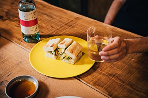 Selvatiq | Bitter | Handverlesene Botanicals | Mit Aromatik von Brombeere & Walnuss | Süßes Aroma | 25% alc. | 500 ml