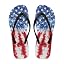American Flag
