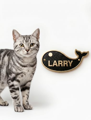 ZGZXBS Personalized Brass Cat Nameplate - Fish-Shaped