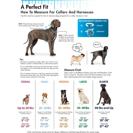 Coastal Pet Walk 'N Train Dog Head Halter - Gentle Leader For Dogs - No-Pull Dog Harness - Quick-Drying Polyester - Black - Small #TOP5