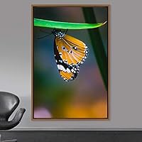 Framed Canvas Wall Art Butterfly Expressive Farmhouse/Country Home Office Insects Lake Multicolor Photography - 16x24 inches