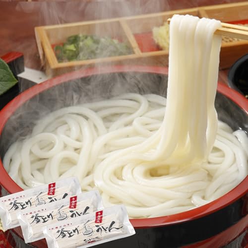 ＫＯＮＰＩＲＡＹＡ 半生極太讃岐うどん300g×3