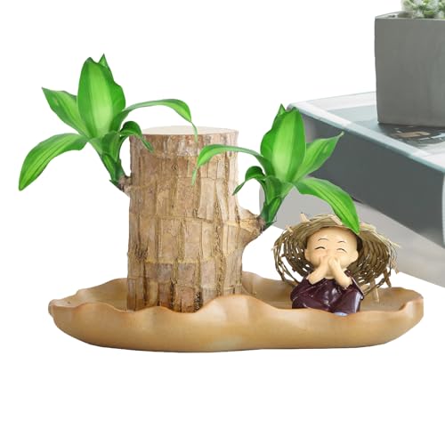 Bois brésilien miniature souche en pot sans terreau pour table basse - 8