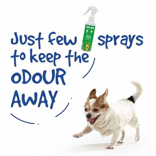 Image of ODO-RITE Pet Area Freshener (Pack of 2-400 ml) |Pet Odour Remover|Pet Safe & Child Safe|Biotechnological Based|Skin Safe|Urine Smell Remover|Can Be Used On All Surfaces
