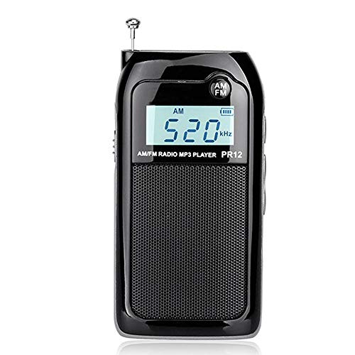 Preisvergleich Produktbild YHML Radio FM AM Mini-Tasche USB Unterhaltung RadioMp3 Tragbarer Empfänger Digital Stereo-Unterstützungs-TF-Karte,Schwarz
