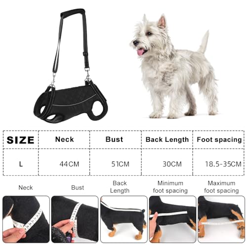 Gsrhzd Tragehilfe Hund, Atmungsaktive Komfortabele Hunde Tragehilfe, Tragbares Leichtes Tragegeschirr Hund für Ältere Verletzte Hunde, L
