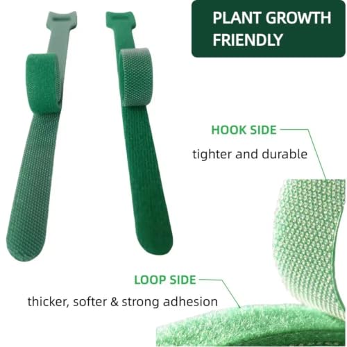 CHZKVOY 100Pcs 10-Inch Green Adjustable Plant Ties, Christmas Garland Ties by CHZKVOY - Image 2