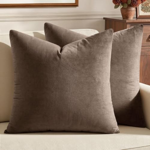 MIULEE 24x24 Inch Pack of 2 Euro Velvet Throw Pillow Covers Coffee